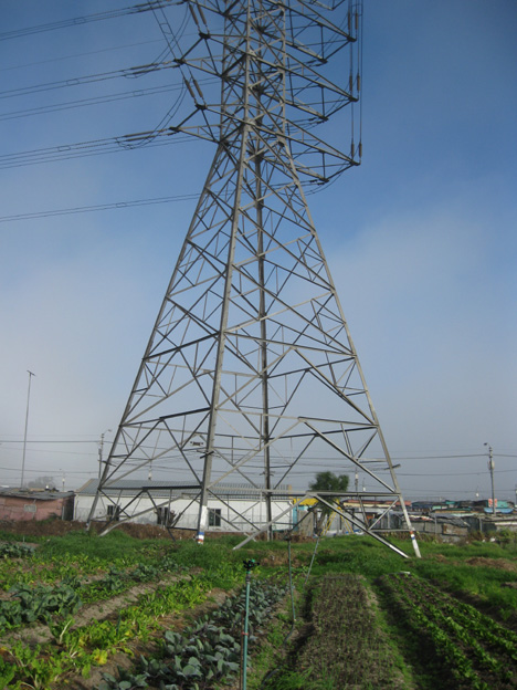 Fezeka community garden stands at the foot of a huge pylon