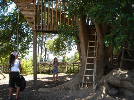 treehouse