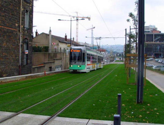 tram4