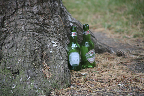 grolsch-litter grolsch-litter