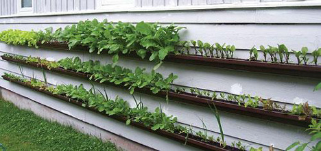 gutter-garden-2